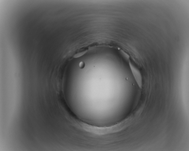 X0000111670039200907241221