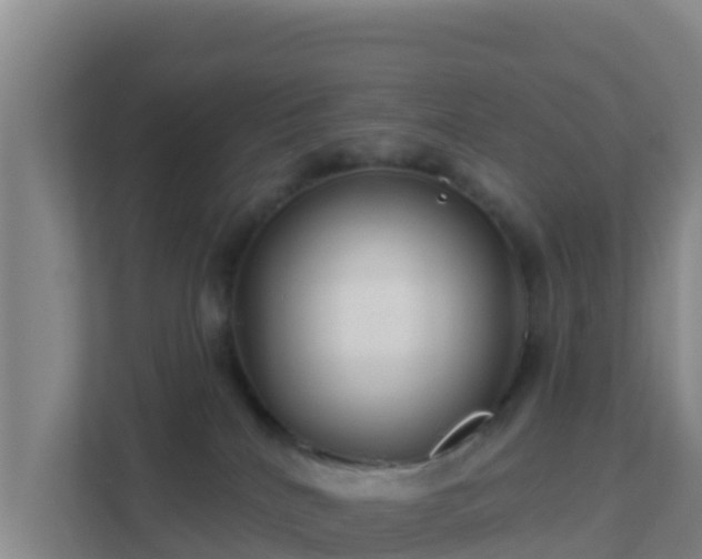 X0000111670040200907241221