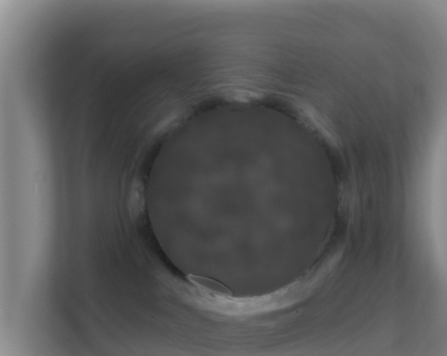 X0000111670043200907241221