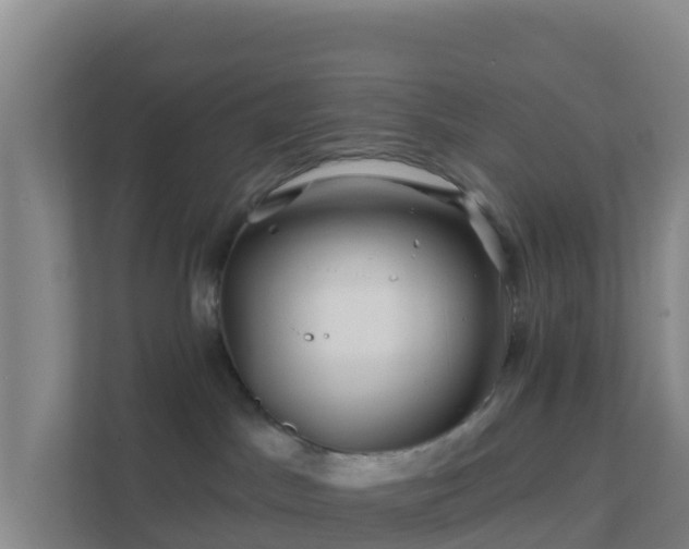 X0000111670045200907241221