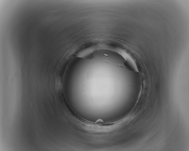 X0000111670048200907241221