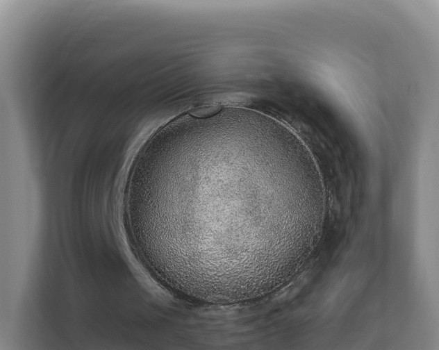 X0000111670049200907241220