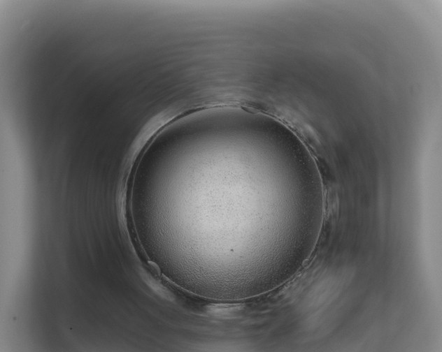 X0000111670051200907241220