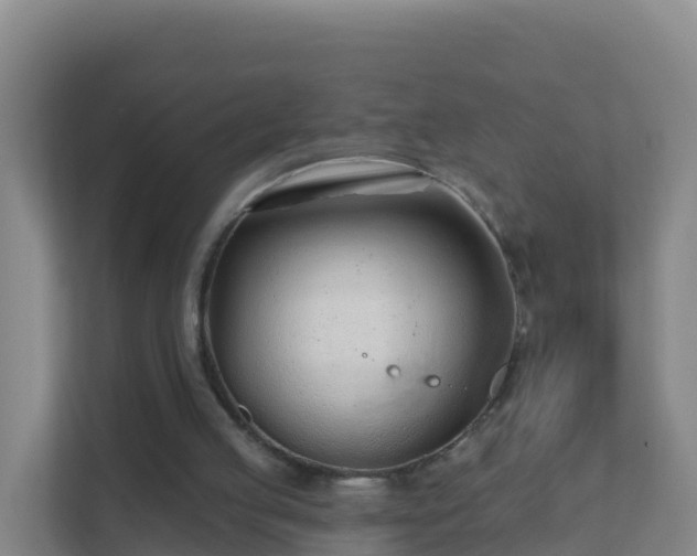 X0000111670053200907241220