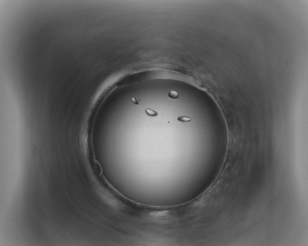 X0000111670054200907241220