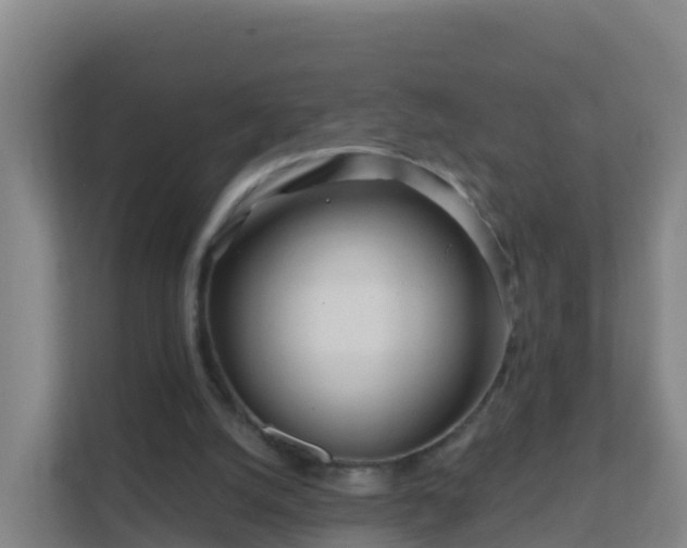 X0000111670056200907241220