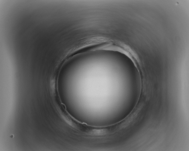 X0000111670057200907241220