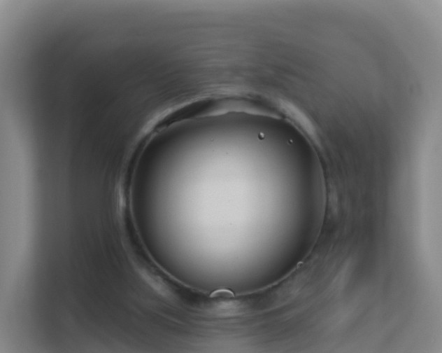 X0000111670059200907241220