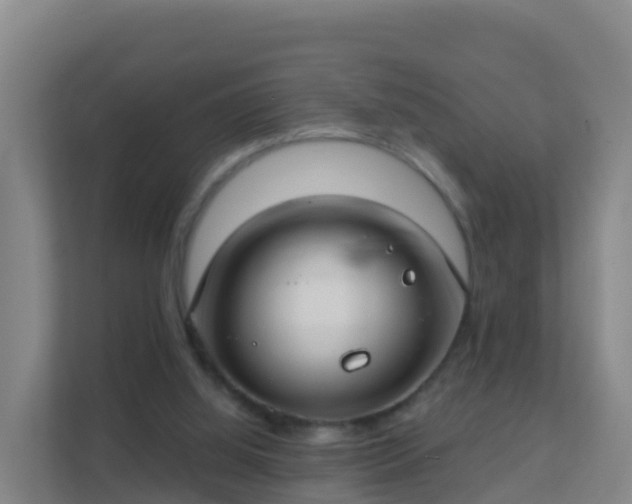 X0000111670060200907241220