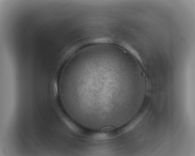 X0000111670061200907241220