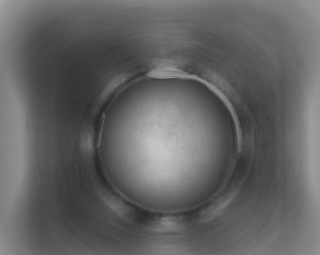 X0000111670064200907241220