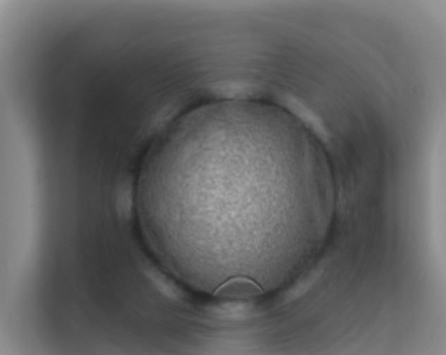 X0000111670065200907241220