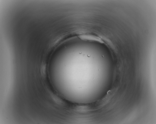 X0000111670066200907241220