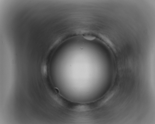 X0000111670067200907241220