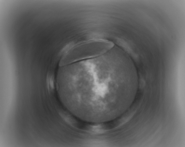 X0000111670068200907241220