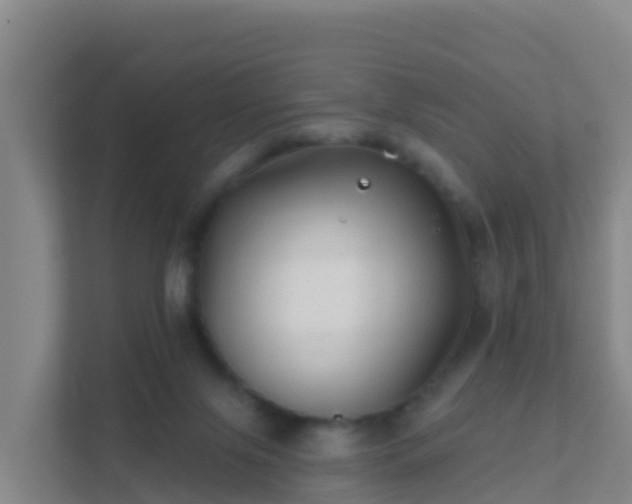 X0000111670071200907241220