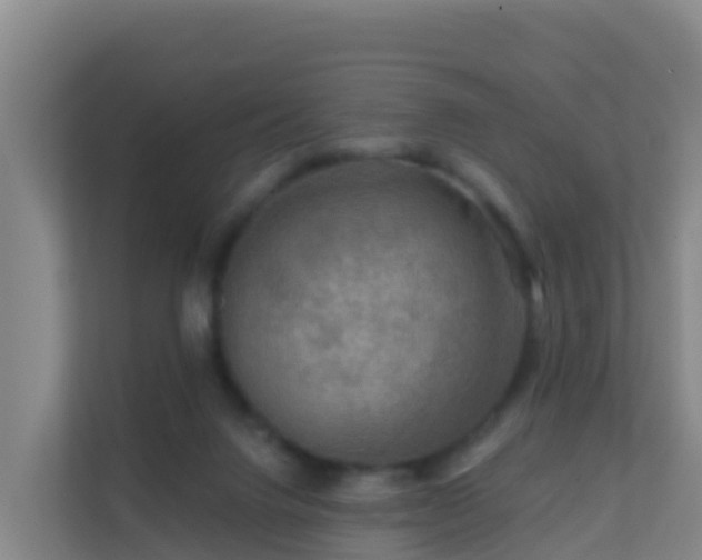 X0000111670072200907241220