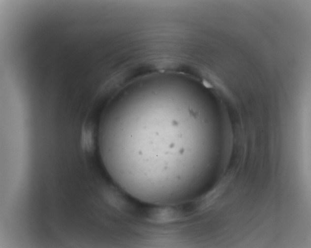 X0000111670074200907241220