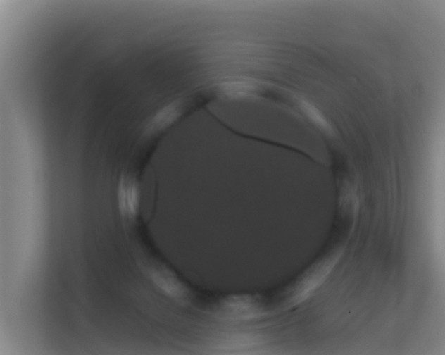 X0000111670076200907241221