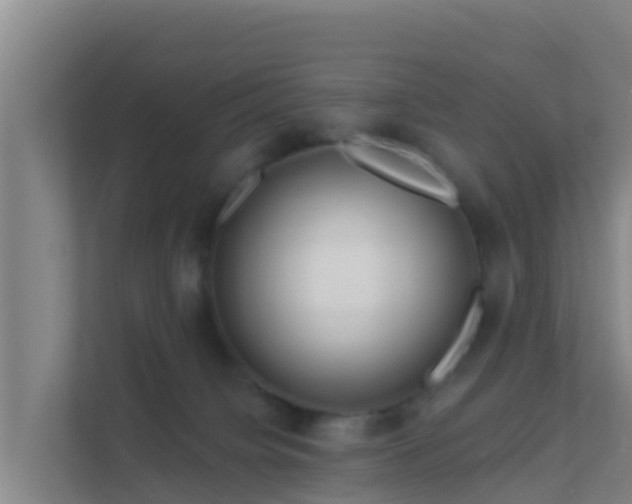 X0000111670084200907241221