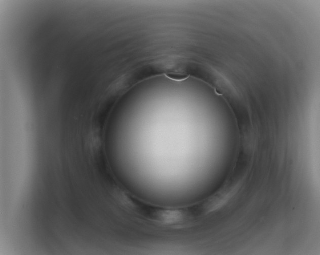 X0000111670085200907241221