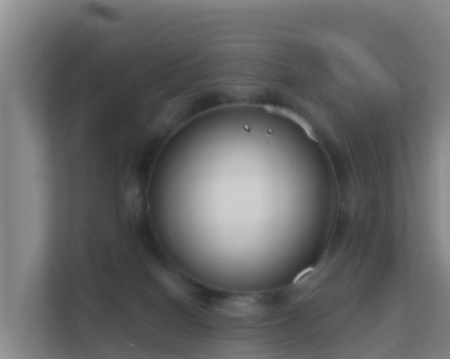 X0000111670086200907241221