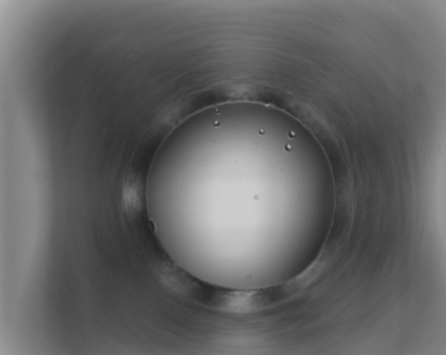 X0000111670090200907241221