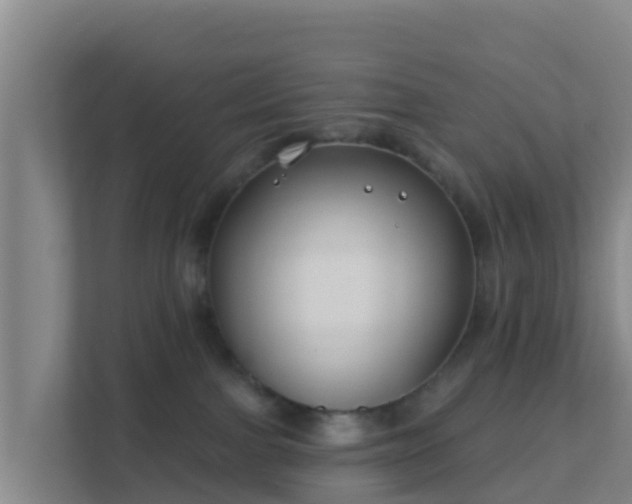 X0000111670091200907241221