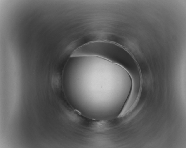 X0000111670092200907241221