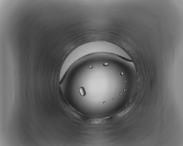 X0000111670096200907241221