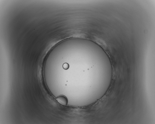 X0000111670098200907241220