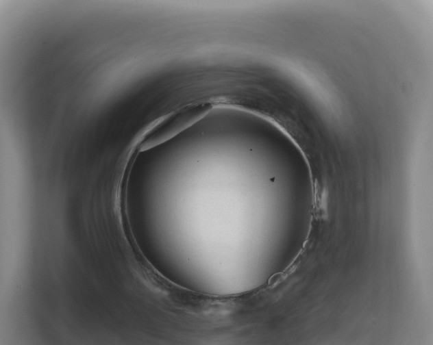 X0000111670099200907241220