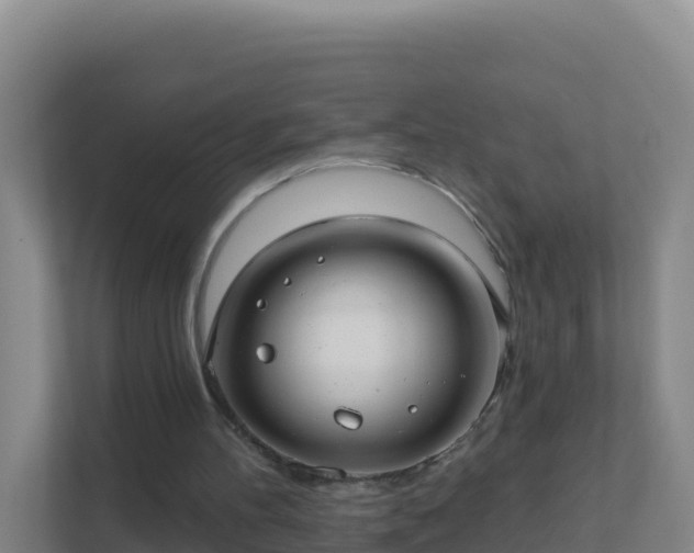 X0000111670100200907241220