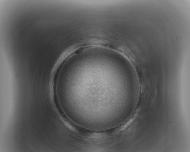 X0000111670101200907241220