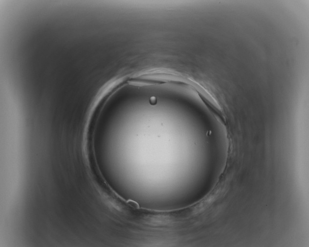 X0000111670104200907241220