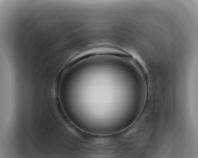 X0000111670105200907241220