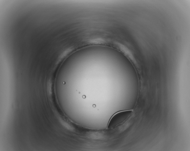 X0000111670106200907241220