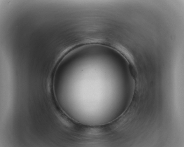 X0000111670107200907241220