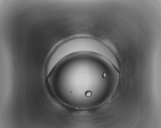 X0000111670108200907241220