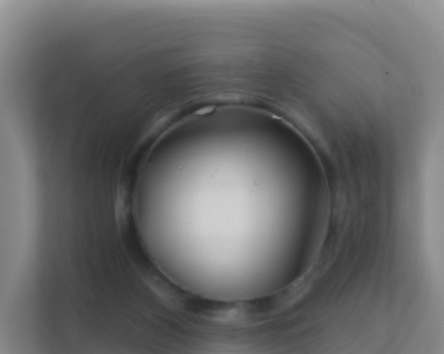 X0000111670116200907241220