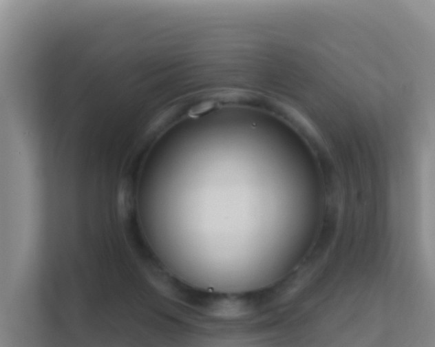 X0000111670119200907241220