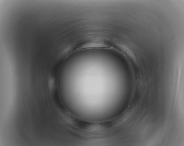 X0000111670123200907241220