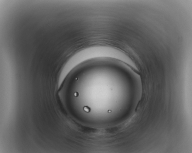 X0000111670124200907241220