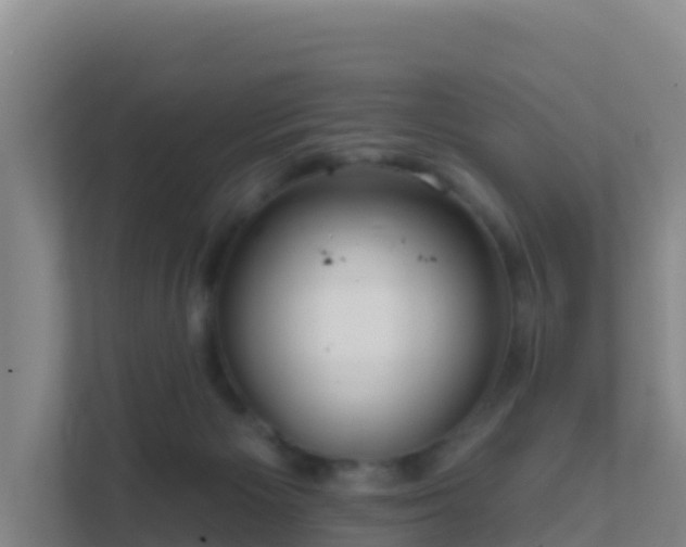 X0000111670125200907241220