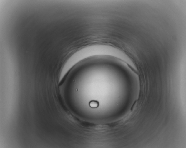 X0000111670128200907241220