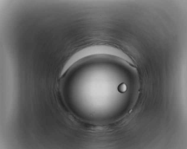 X0000111670129200907241220