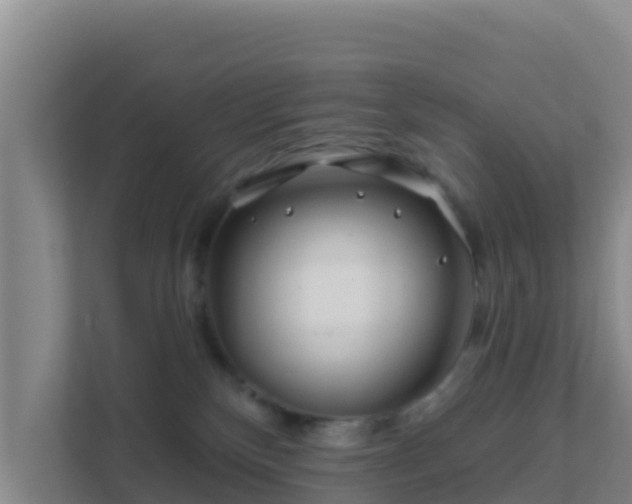 X0000111670136200907241220