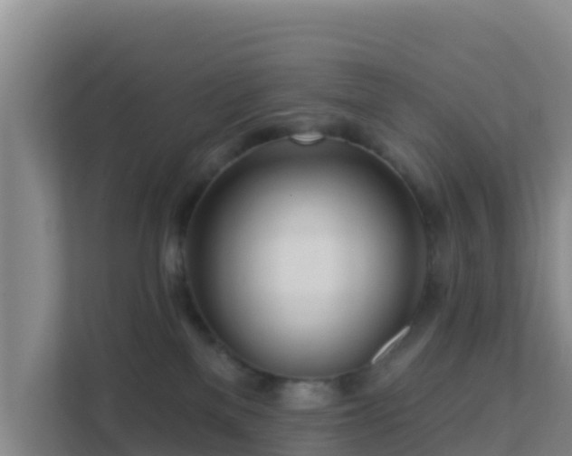 X0000111670137200907241220