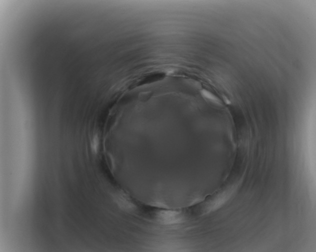 X0000111670139200907241220