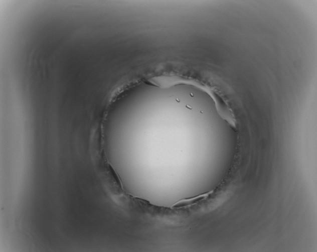 X0000111670144200907241220